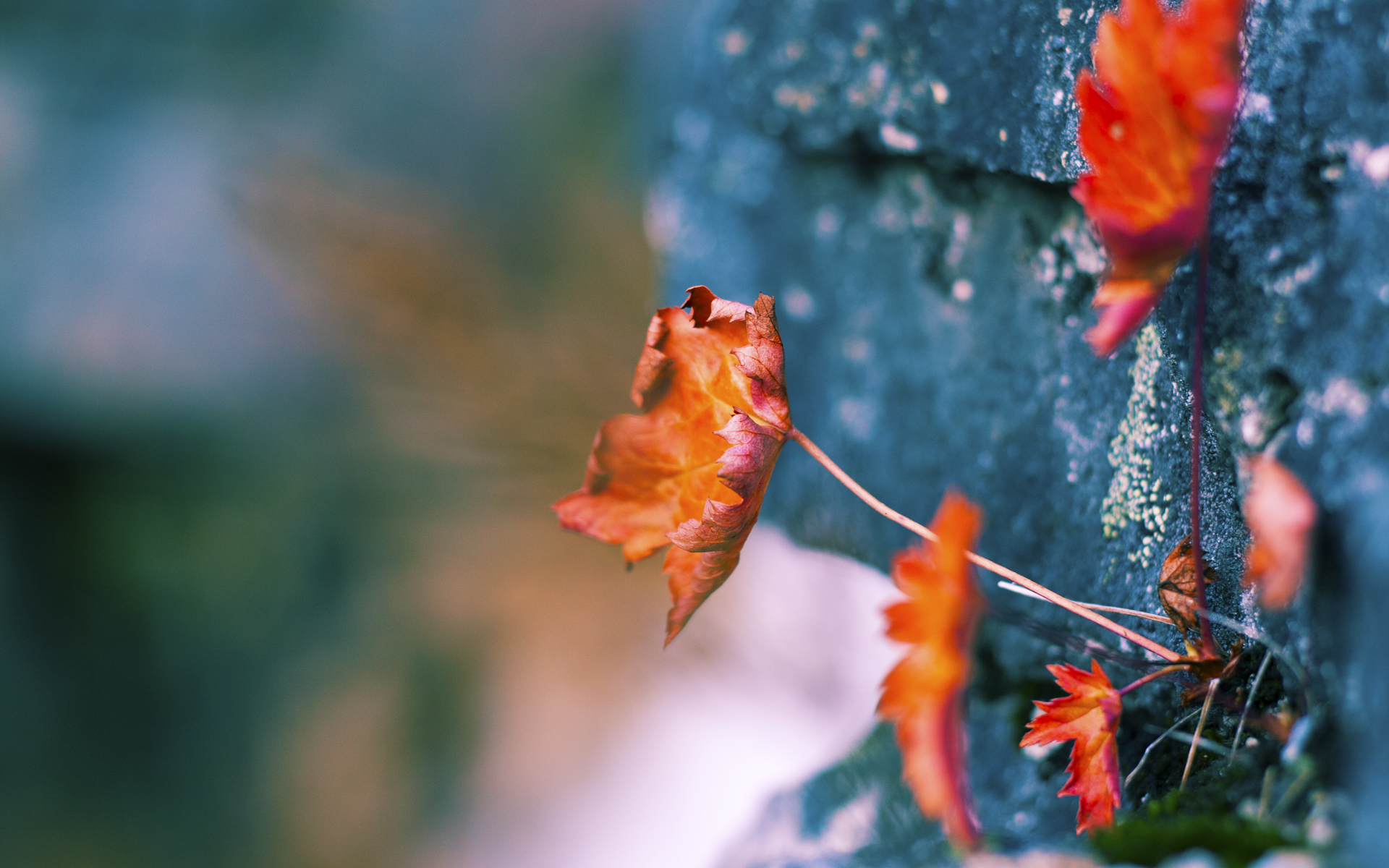 开云网页版登录入口-2020年NBA复赛：库里复出表现抢眼，带领勇士冲进季后赛圈层，展现恢弘力量