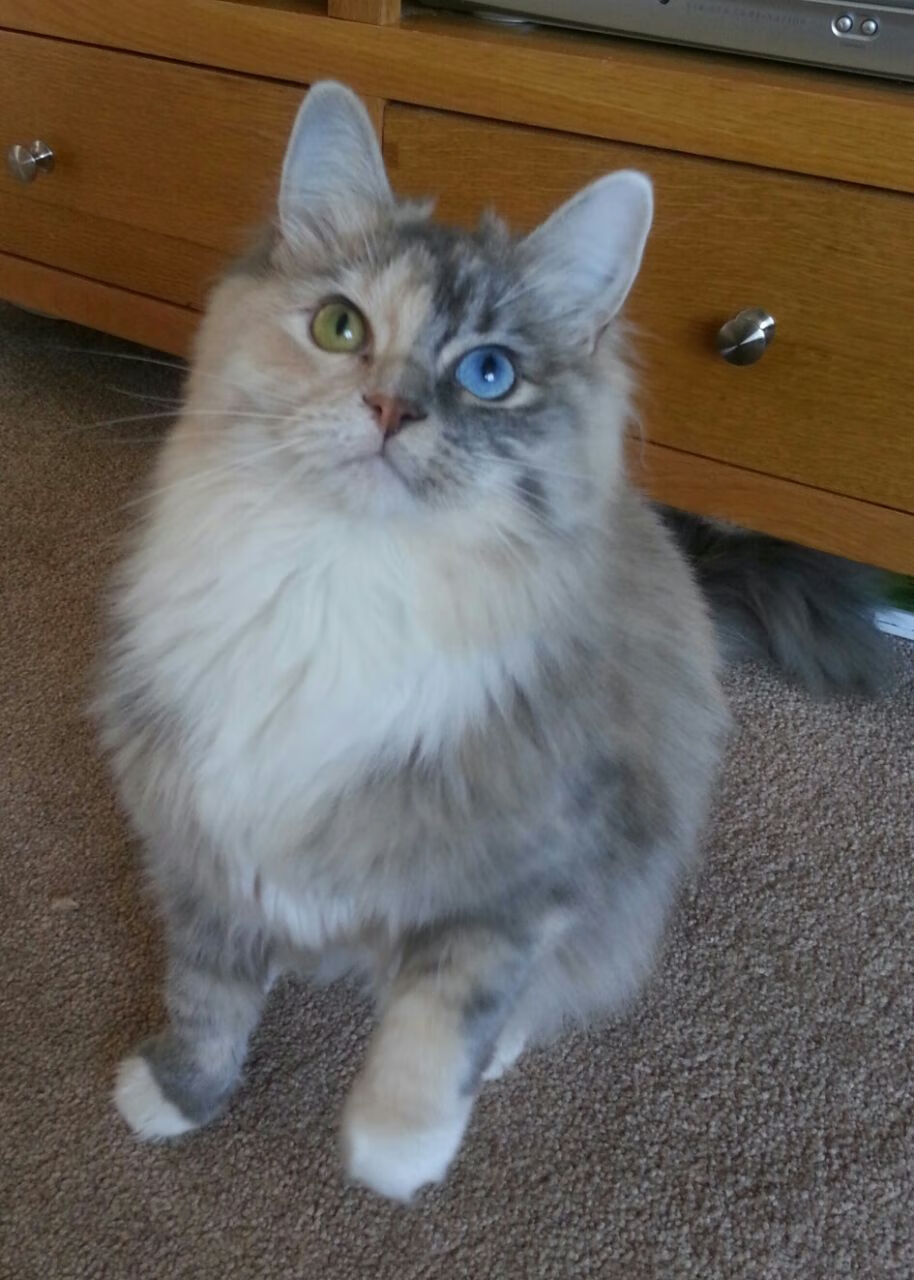 开云中国-“足球+文化”产业融合升级，推动行业创新链完善，足球工业化