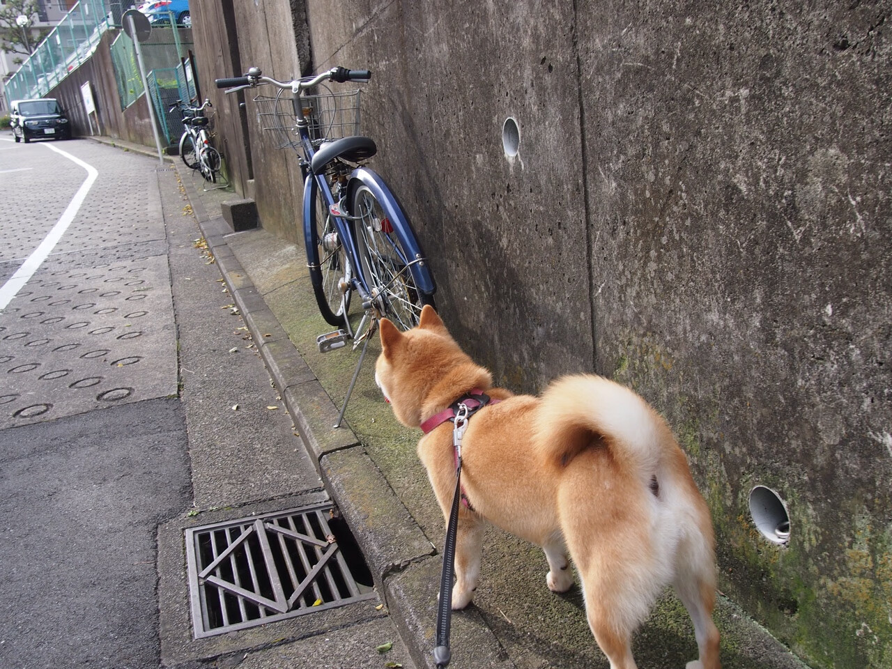 Kaiyun(中国)开云-“西甲战火升级，联赛进入关键阶段”，最新西甲战报