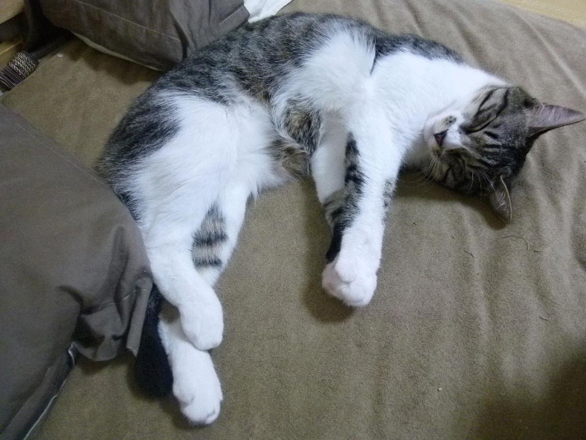 开云体育APP下载-《2025英雄联盟全球总决赛，小组赛火爆开启》，2050年英雄联盟总决赛