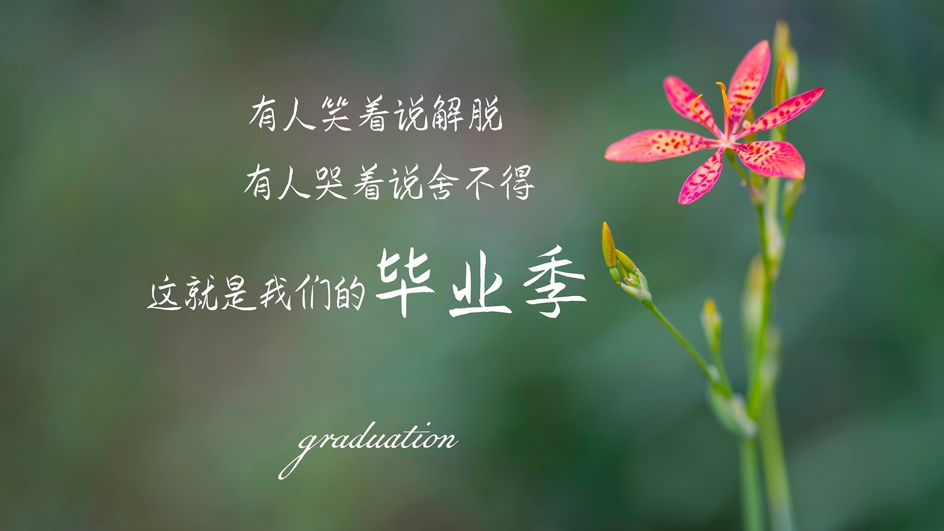 开云官方-《【科技创新】虚拟现实(VR)助推电竞新体验》,电子竞技与vr虚拟现实