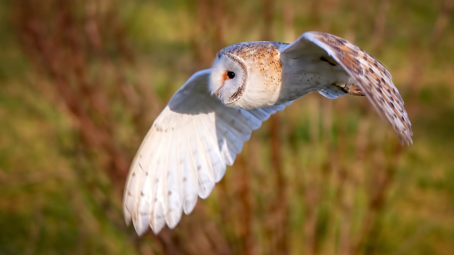 开云中国大陆-传奇巨星的“全新篇章”——从赛场到社会影响力,传奇巨星超值自选礼盒