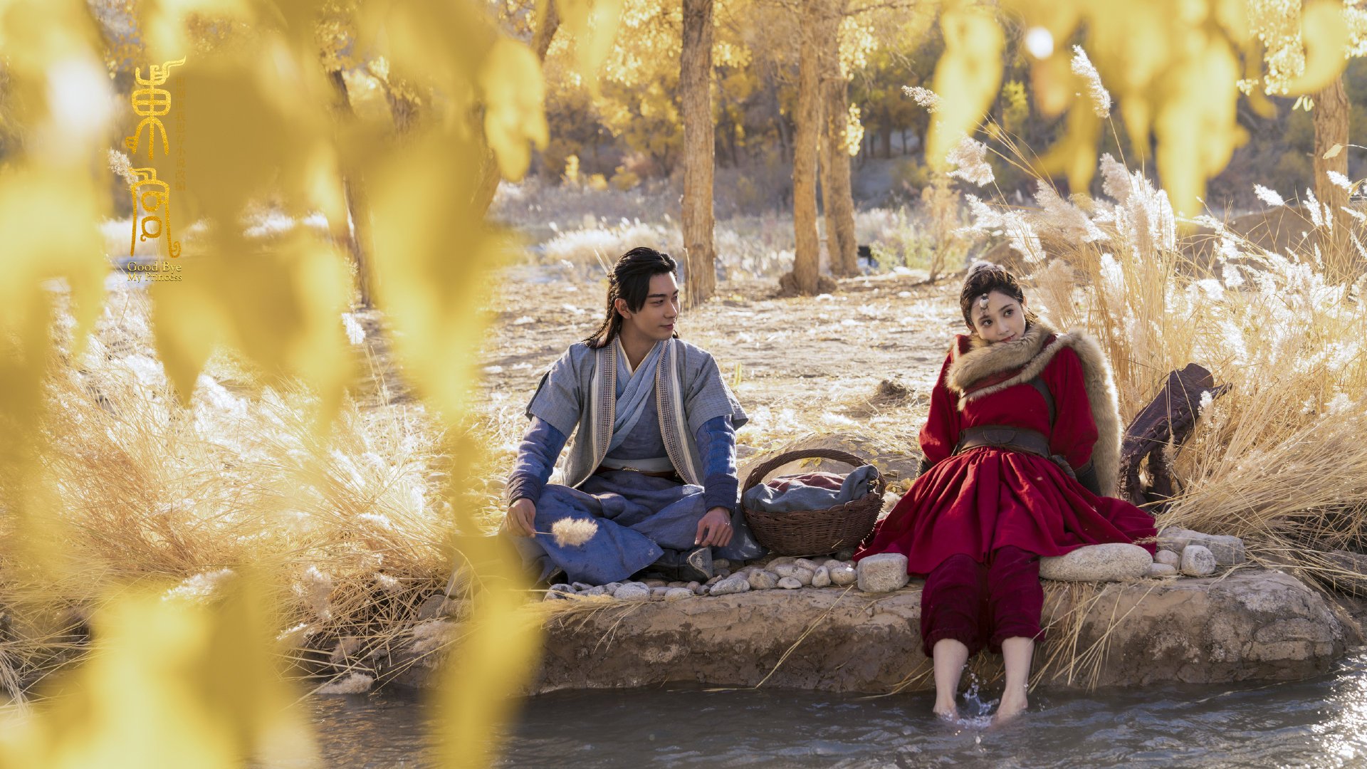 开云官网APP下载-国际女单巡回：勇者之战，谁将站在顶端？