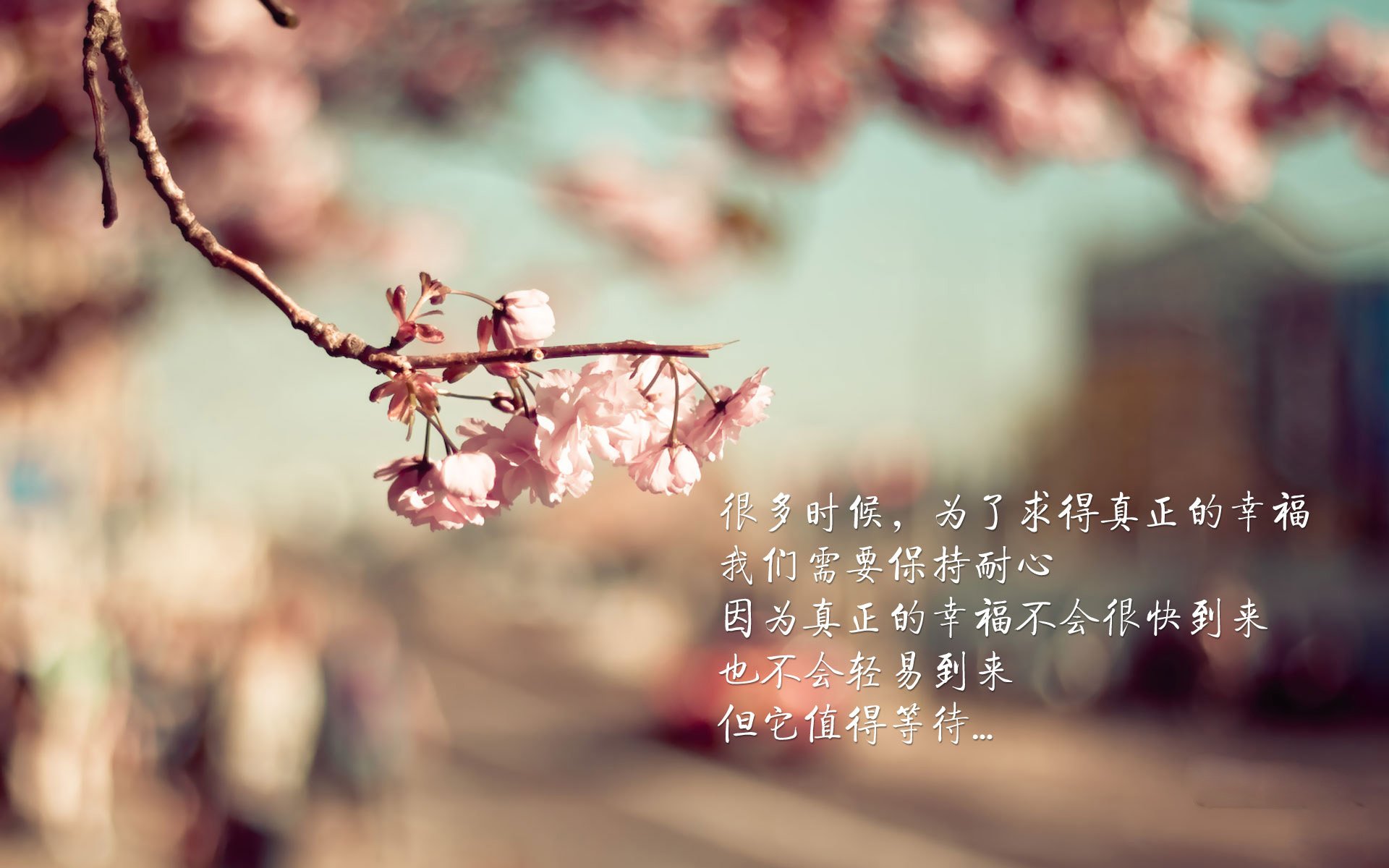 开云官方网站-国际亲子足球体验营，锻炼身体家庭互动，足球亲子活动方案