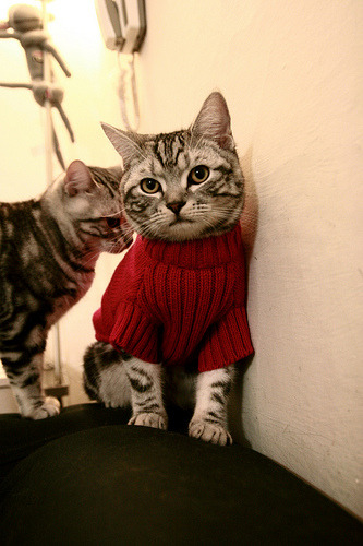 开云平台-日本队拼搏到底,绝不轻言放弃!,日本队的强项