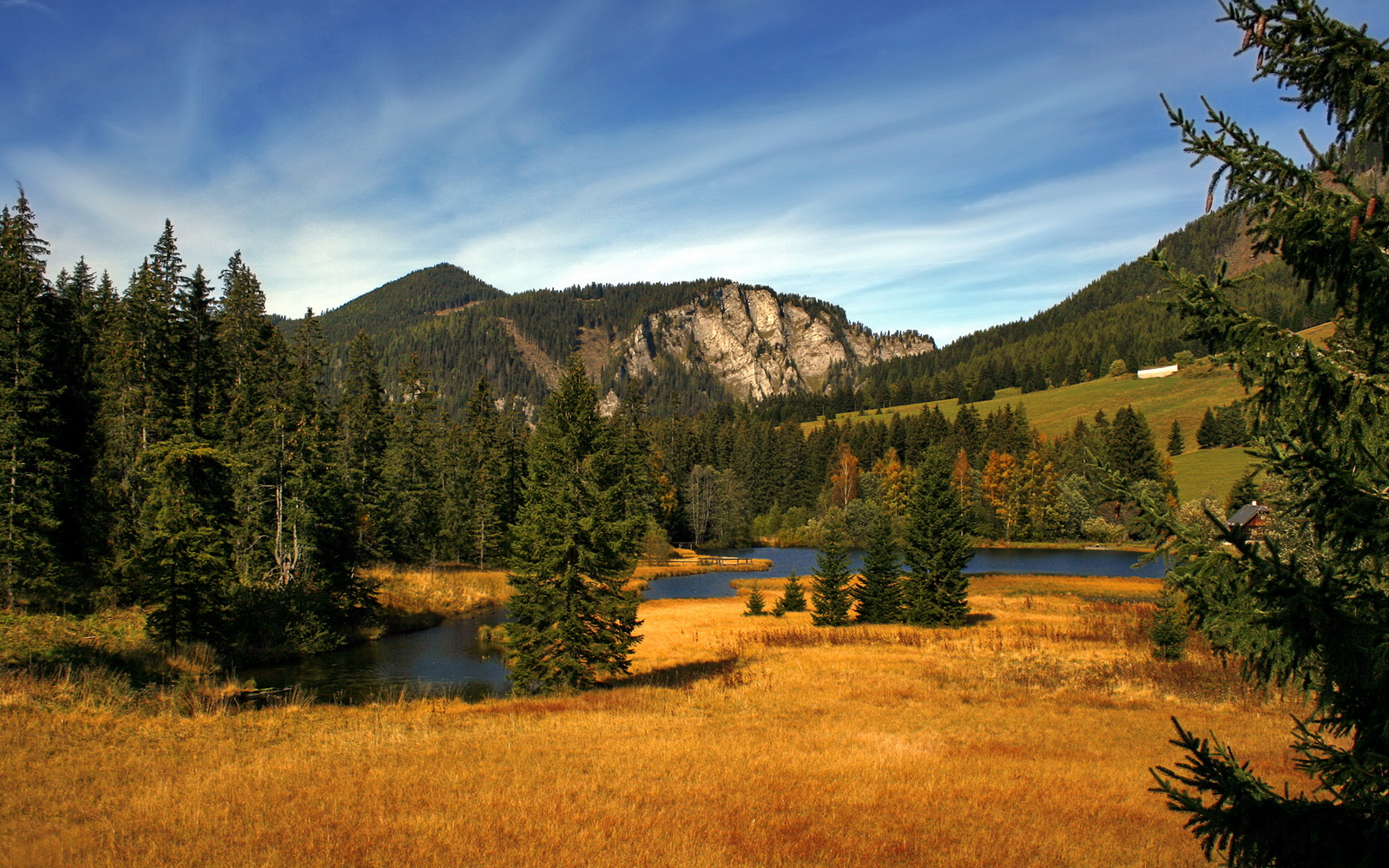 开云kaiyun-公牛球队核心球员状态持续火热，公牛的球队