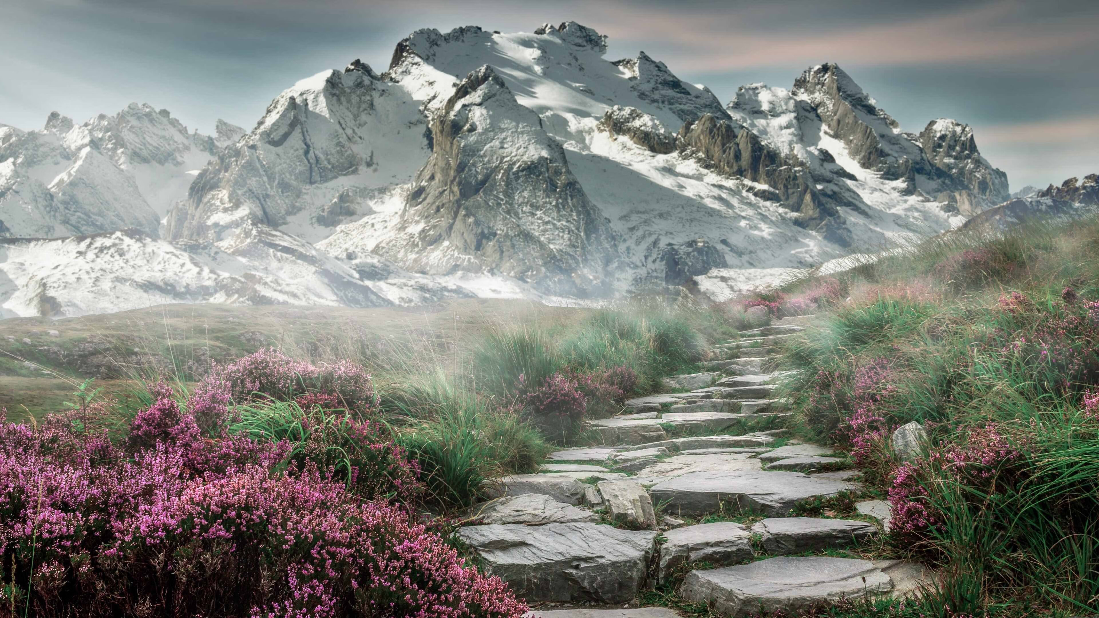 开云官方网站-北京国安新赛季训练营开启，北京国安2021赛季比赛日