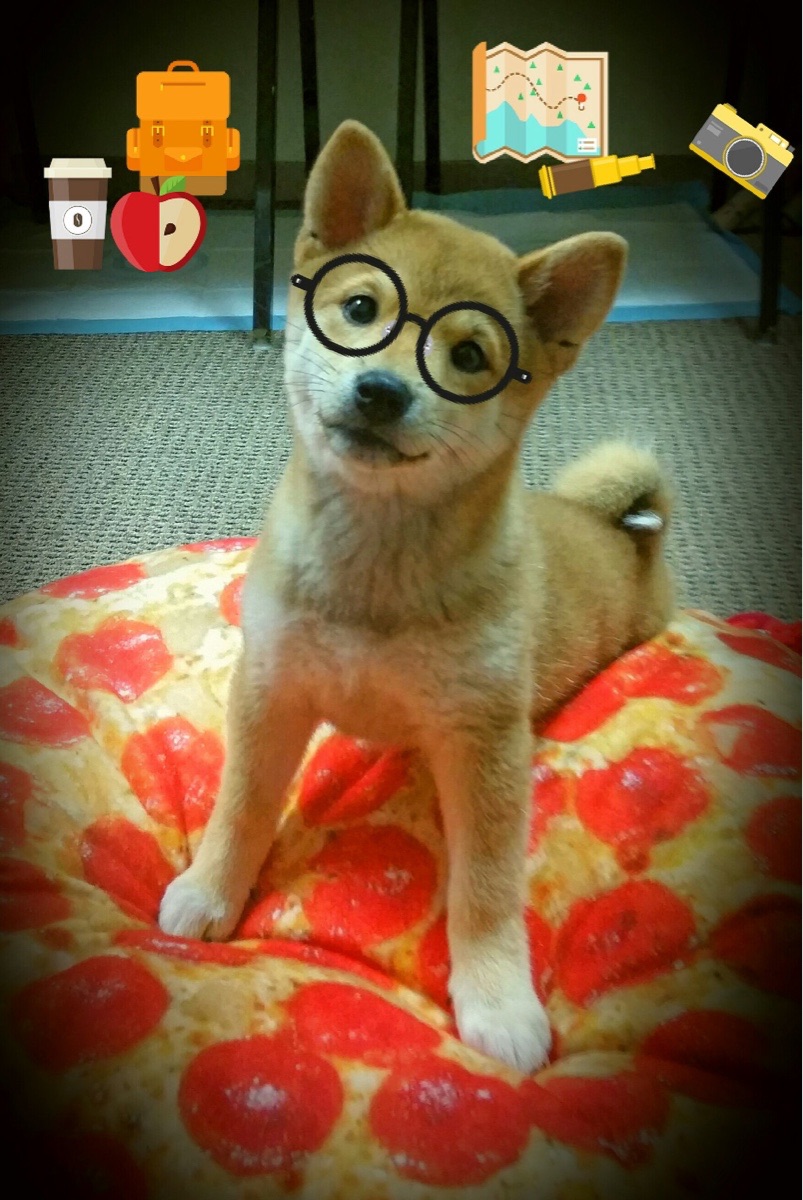 开云体育APP下载-勇士险胜凯尔特人,库里绝杀不中但维金斯补篮致胜,勇士签约维金斯