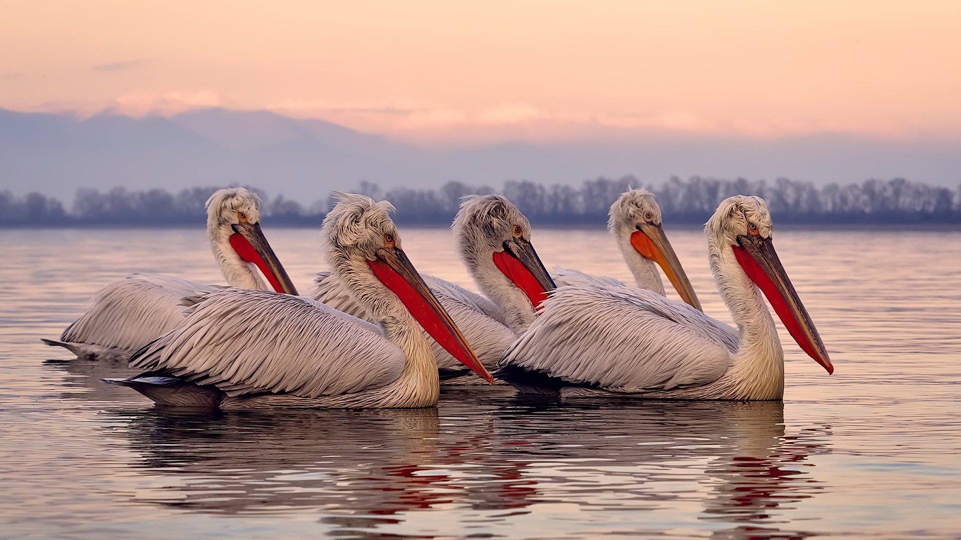 开云中国-巴塞罗那再度展现强大实力，积分榜上继续紧追领先者，巴塞罗那厉害吗