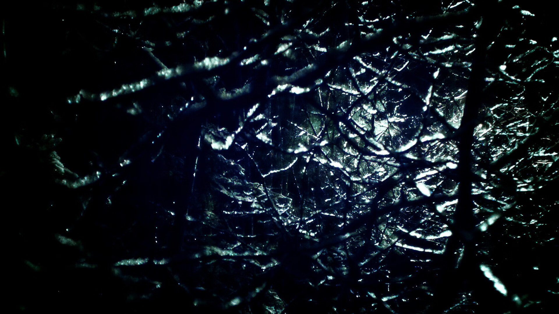 开云体育-巴希尔·阿卜迪在马拉松比赛中获得银牌，巴希尔阿布迪