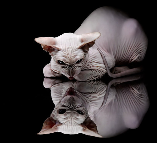 开云官方网页登录-职业篮球联盟战略规划实施,职业篮球联赛有哪些