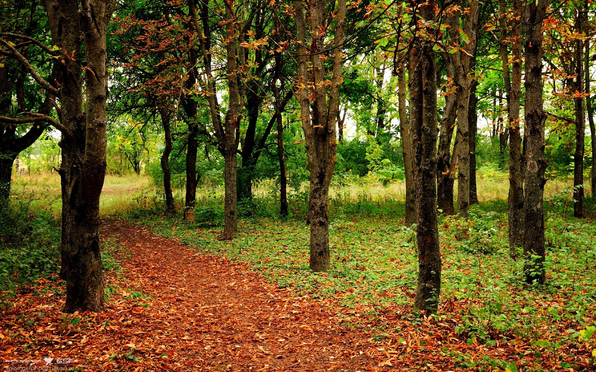 kaiyun登录入口-阿联酋球队签下国际新星,阿联酋足球国家队