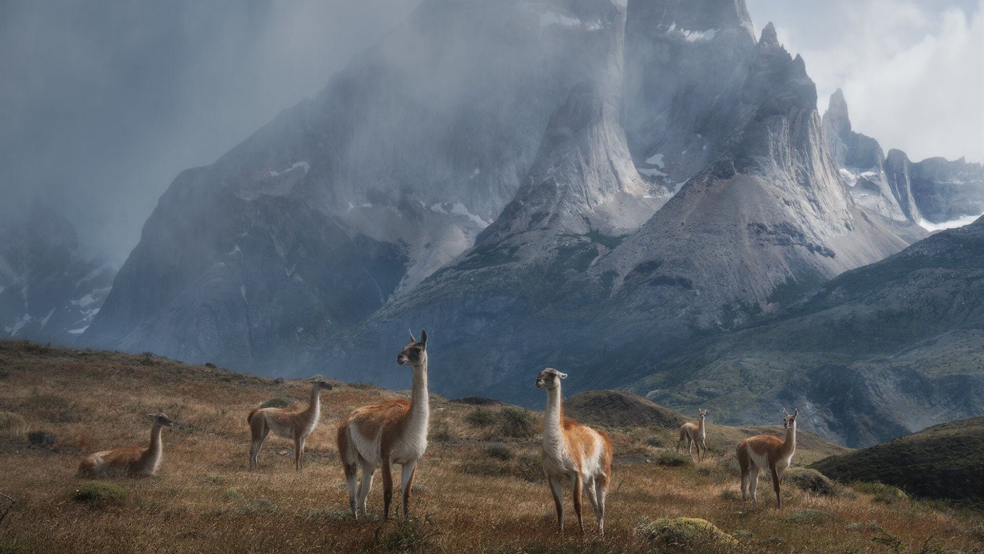 kaiyun登录入口-NBA球员训练计划科学制定与调整,nba球员日常训练项目