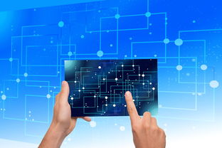 开云官网-NBA联盟品牌资产价值提升路径研究，nba联盟logo设计理念分析