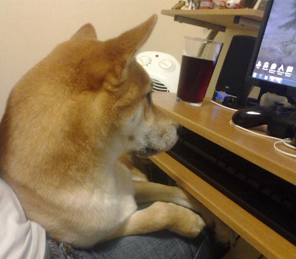 Kaiyun(中国)开云-体育赛事品牌社交传播效果监测模型构建，体育赛事的媒体推广