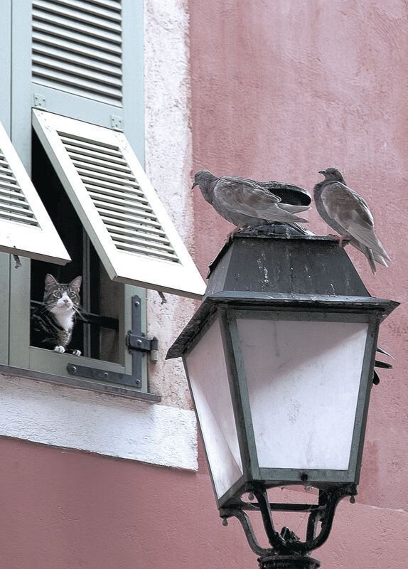 开云网页版-东亚杯国足逆袭 球员技术进步明显，东亚杯国足逆袭 球员技术进步明显吗