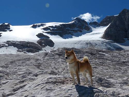 开云官方-国际热身赛中国队夺冠 技术打法备受称赞,国际热身赛赛程