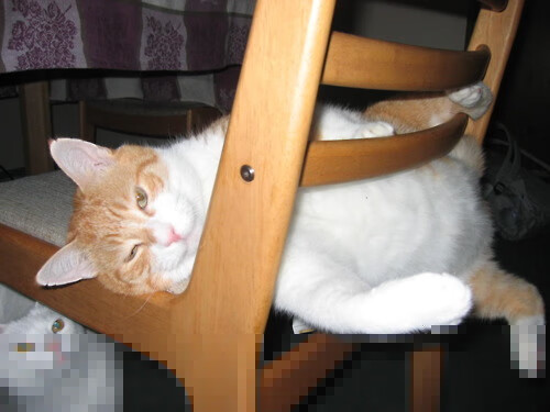 开云官方-国际热身赛中国队夺冠 技术打法备受称赞,国际热身赛赛程