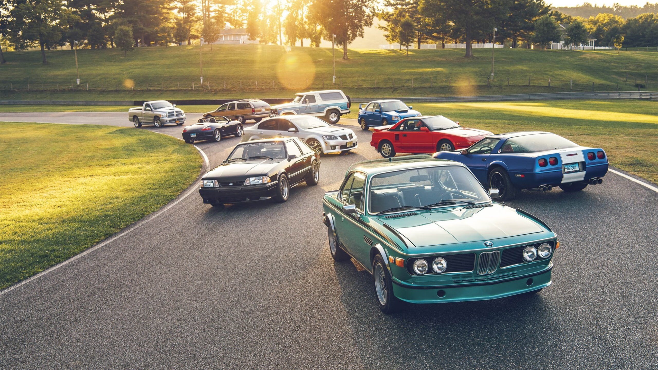 kaiyun登录入口-仰泳冲刺荷兰女将保持领先,仰泳视频教练讲解