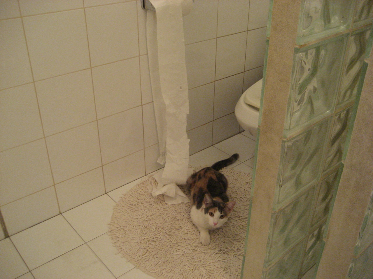 全队训练体系趋于标准化与国际接轨，全队训练体系趋于标准化与国际接轨问题