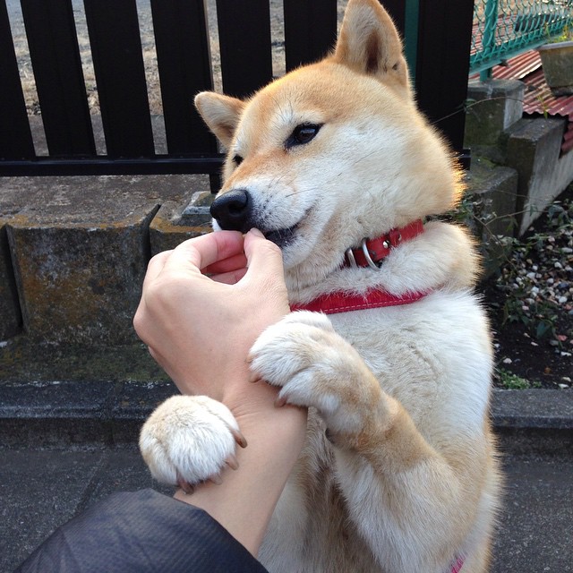 开云中国大陆-巴尔：全黑队中场的“破坏者”，精准抢断并快速反击