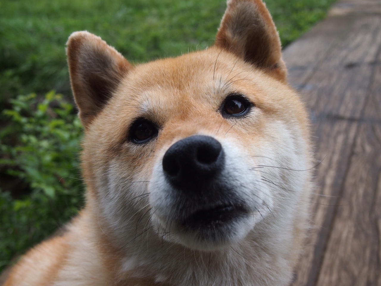 kaiyun开云·官方网站-德甲经典赛事:攻守转换中不断创造奇迹,德甲intro