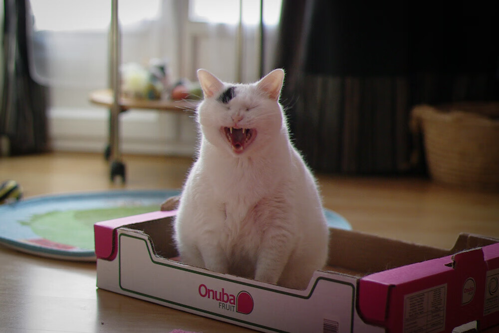 kaiyun中国官方网站-高台入水角度优化明显,水花最小,高台入水水深要求多少